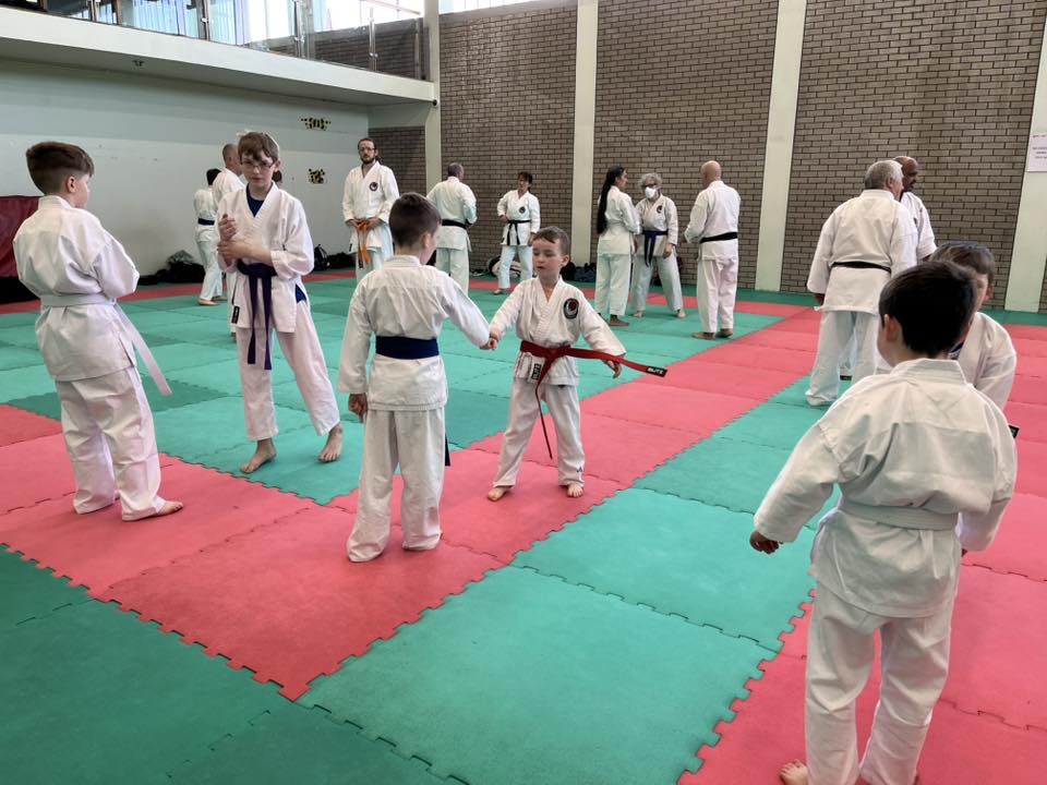 Junior class working in pairs