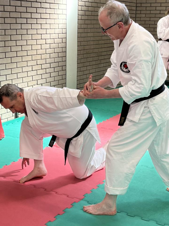 Senior students practising a wrist-lock technique