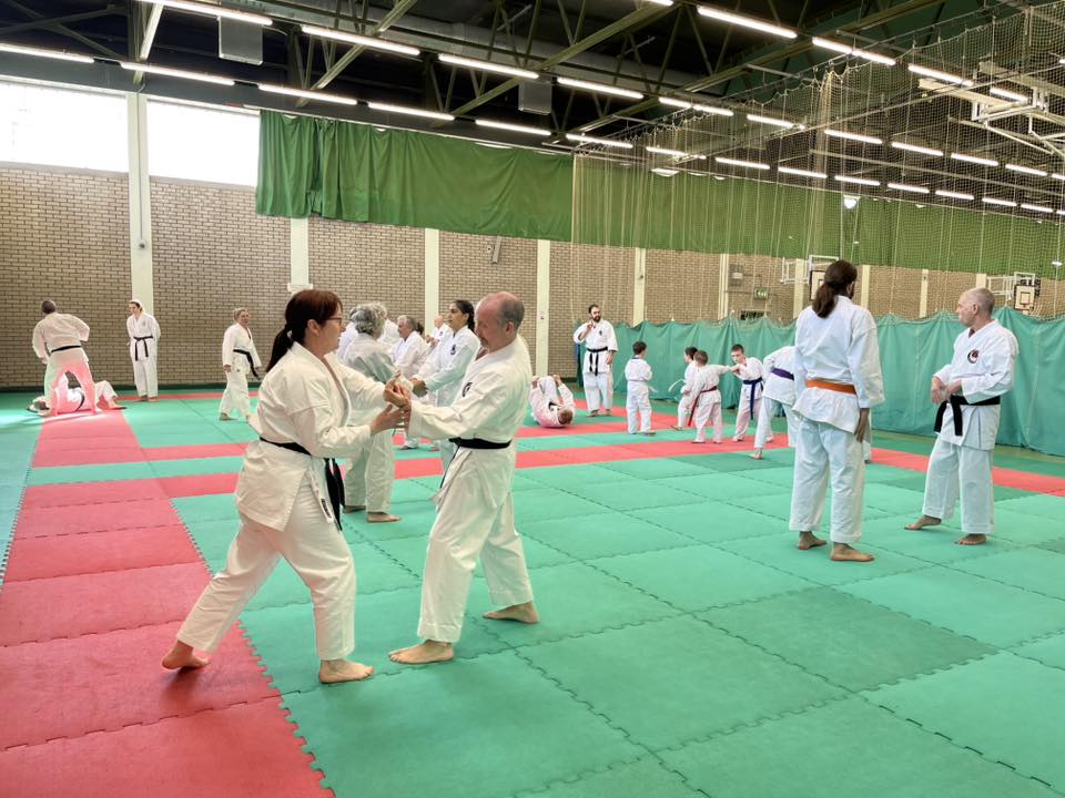 Adults and children training together at the WIKF NI Spring Course 2026